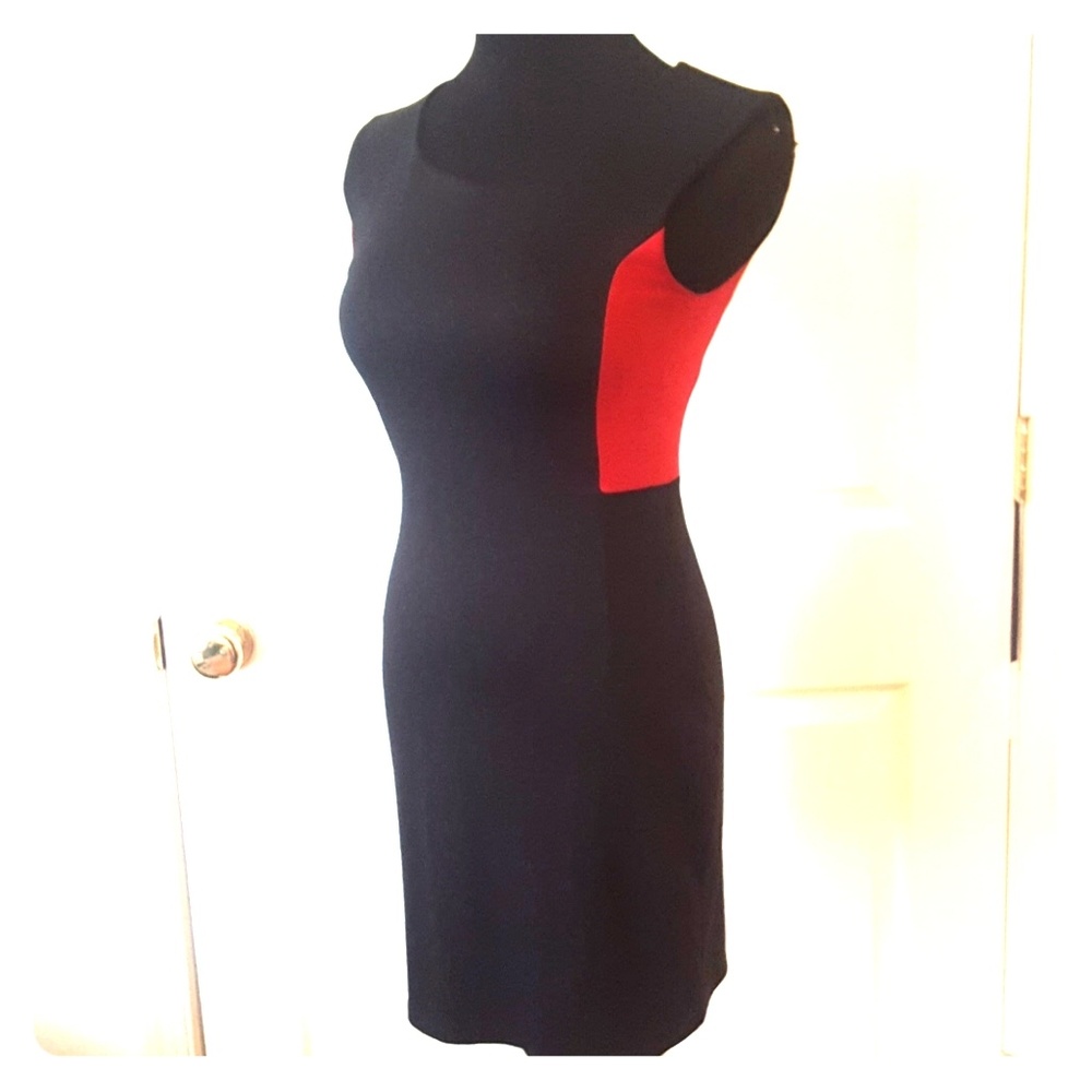 Fitted Colorblock Dress